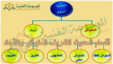 Verschiedene Casino-Spielautomaten auf einem Bildschirm