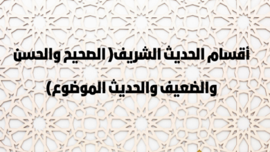 أحكام الميم الساكنة - الموسوعة الغنية